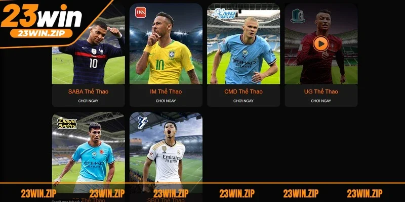 Tổng hợp các sản phẩm cá cược thể thao 23WIN